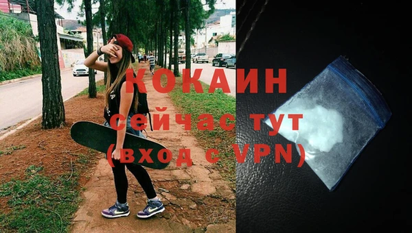 ECSTASY Инта