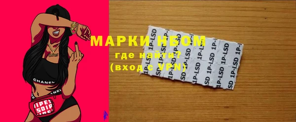мдпв Мамадыш