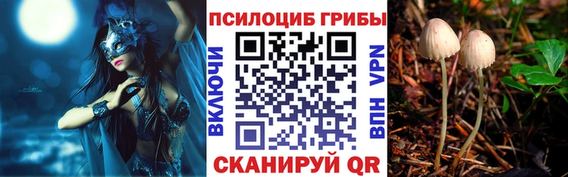 Псилоцибиновые грибы Magic Shrooms  Сретенск 